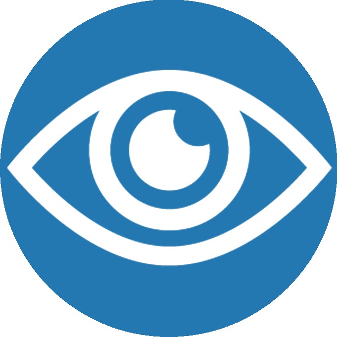 Vision Icon